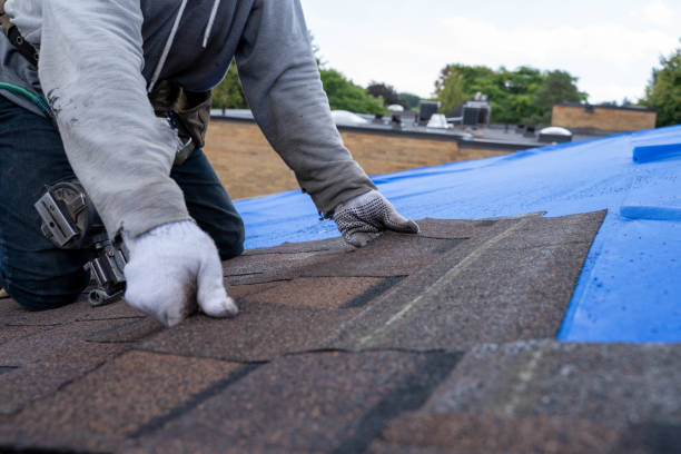 Best Roof Gutter Cleaning  in Thorp, WI