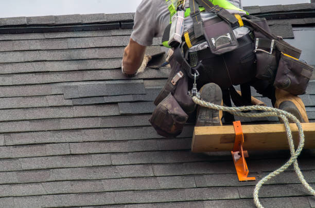 Gutter Installation and Roofing in Thorp, WI