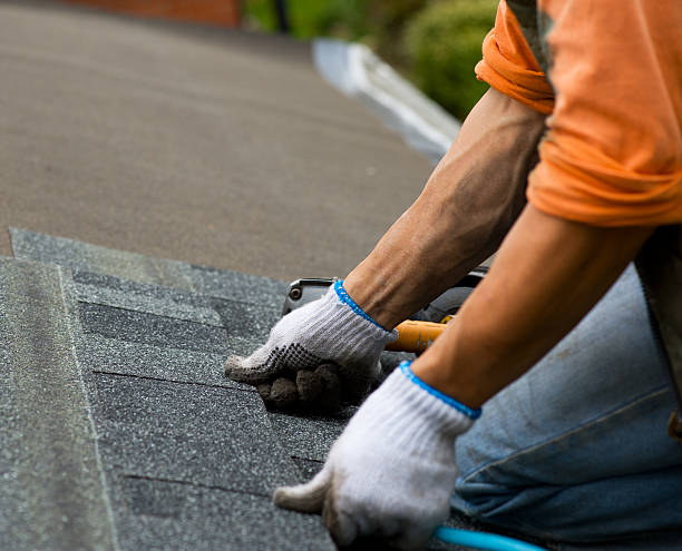 Best New Roof Installation  in Thorp, WI