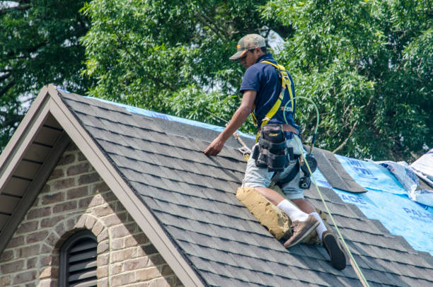 Best Flat Roof Repair Services  in Thorp, WI